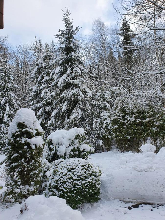 Appartement Am Astenkick Altastenberg Winterberg Eksteriør billede