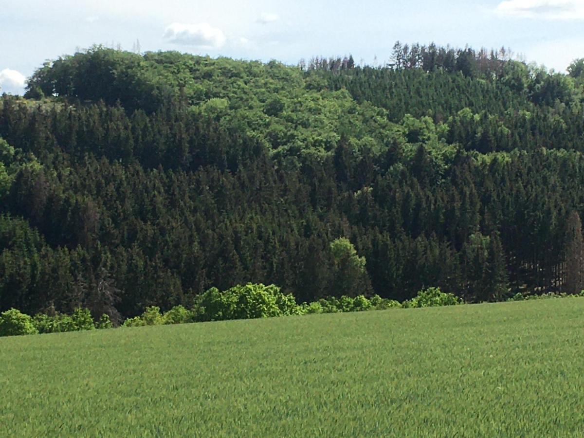 Appartement Am Astenkick Altastenberg Winterberg Eksteriør billede
