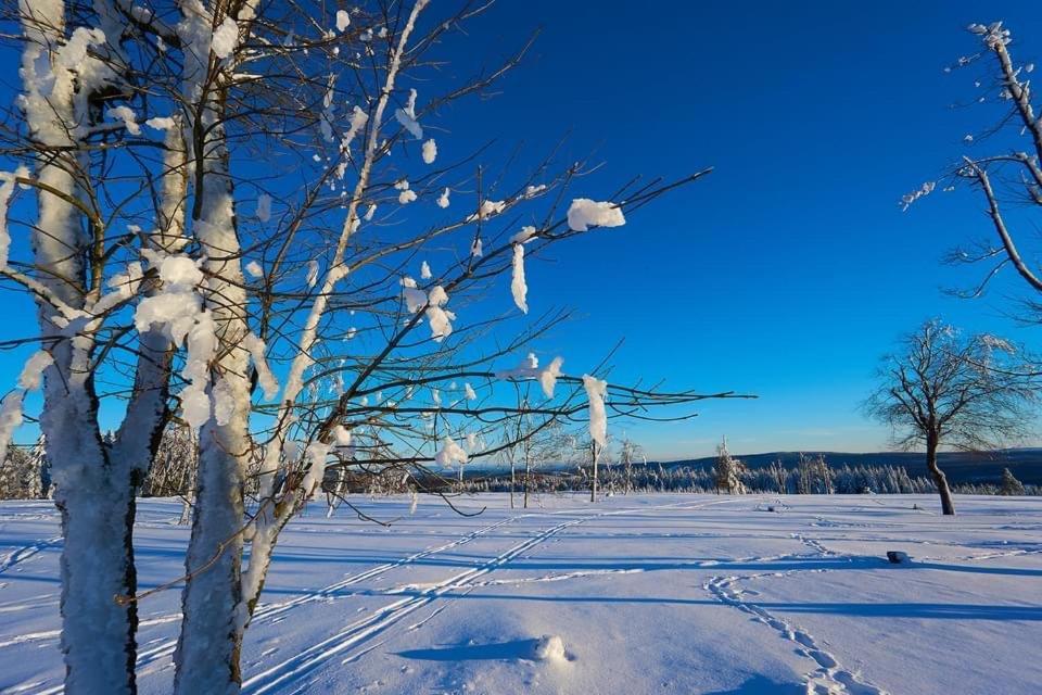 Appartement Am Astenkick Altastenberg Winterberg Eksteriør billede
