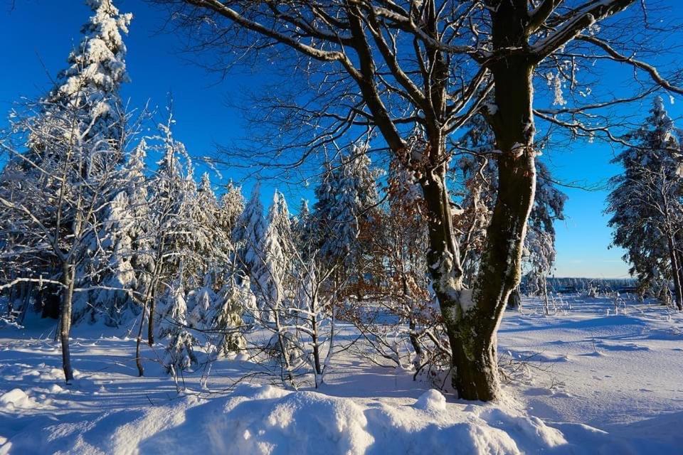 Appartement Am Astenkick Altastenberg Winterberg Eksteriør billede