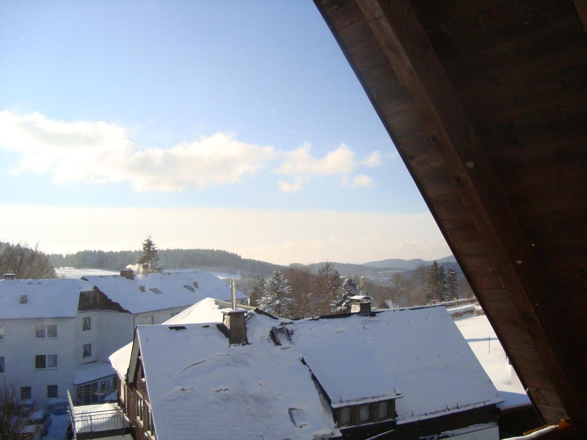 Appartement Am Astenkick Altastenberg Winterberg Eksteriør billede