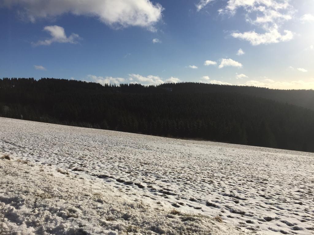 Appartement Am Astenkick Altastenberg Winterberg Eksteriør billede