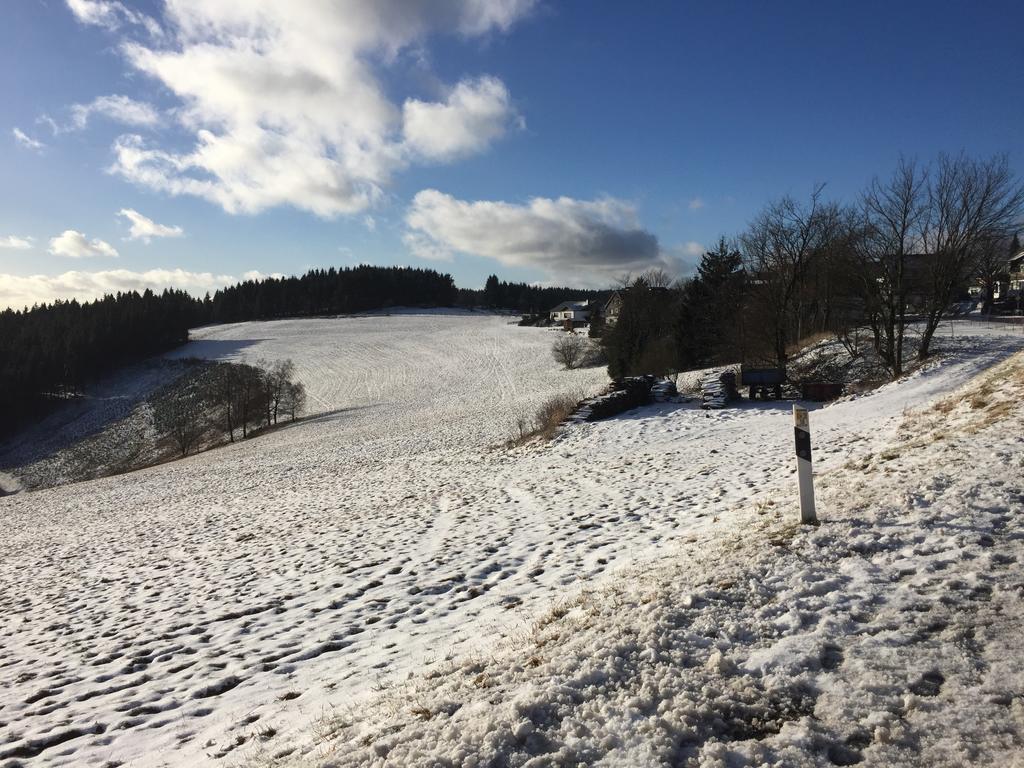 Appartement Am Astenkick Altastenberg Winterberg Eksteriør billede