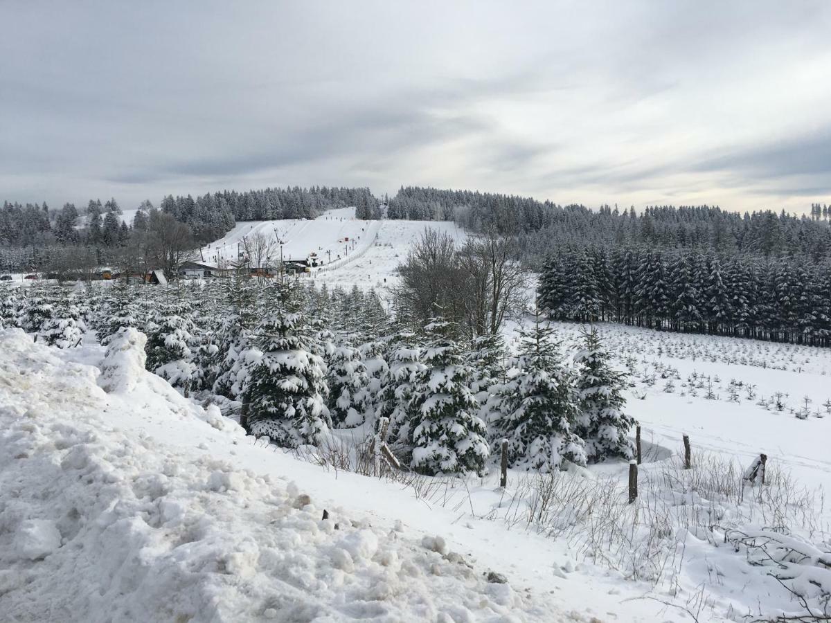 Appartement Am Astenkick Altastenberg Winterberg Eksteriør billede